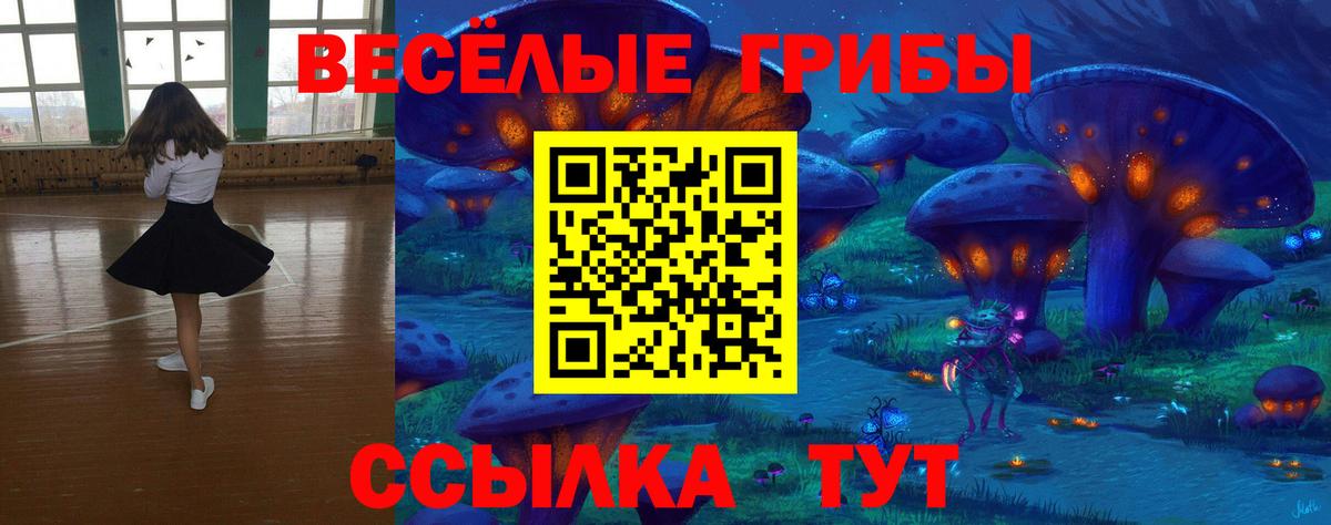 Галлюциногенные грибы Magic Shrooms Заводоуковск